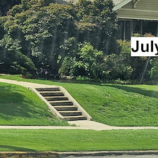Comprehensive-Lawn-Treatment-Chinch-Bug-Control-in-Birmingham-AL 0